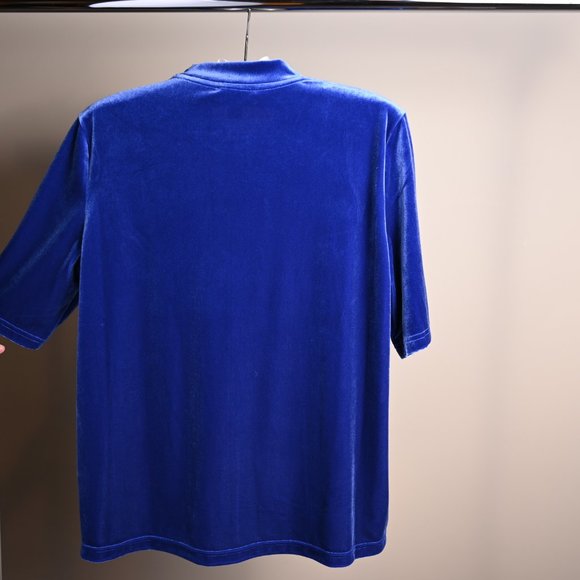 💗HOST PICK💗 Blue Velvet Top with Mock Neck and Short Sleeves- Petite L - Picture 2 of 6